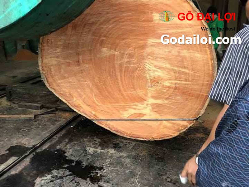 bán-gỗ-gỏ-đỏ-nam-phi (2)