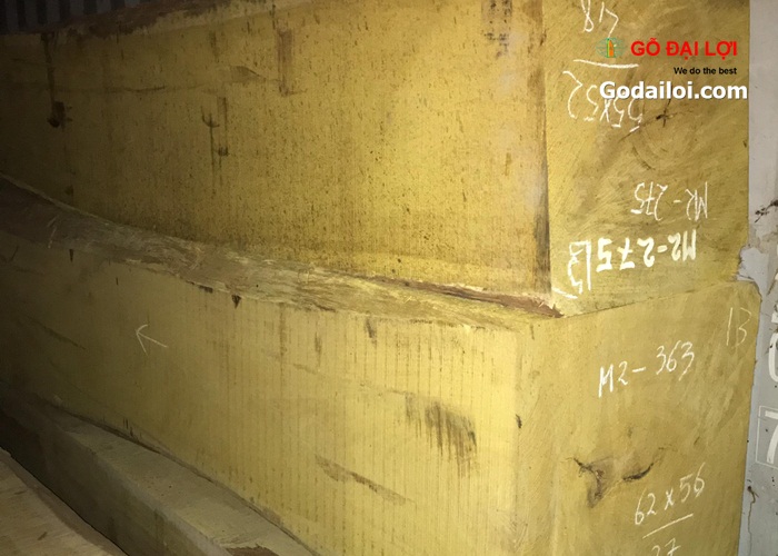 gỗ-dổi (3)