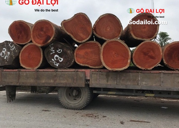 go-huong-do (4)