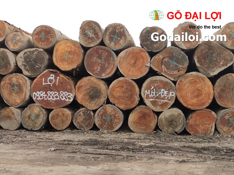 gỗ-mít-bán-cung-cấp-gỗ-mít (3)