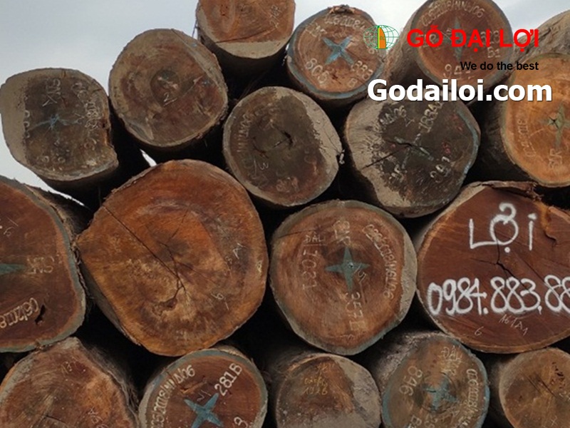 gỗ-mít-bán-cung-cấp-gỗ-mít (5)